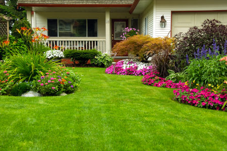 A Landscaping Specialist Can Give You The Lawn Of Your Dreams