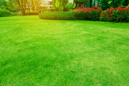 Benefits Of Hiring A Lawn Care Services Professional For Turf Maintenance