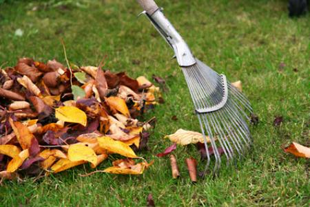 Seasonal Cleanups