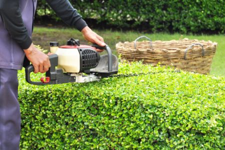 Tree & Shrub Care